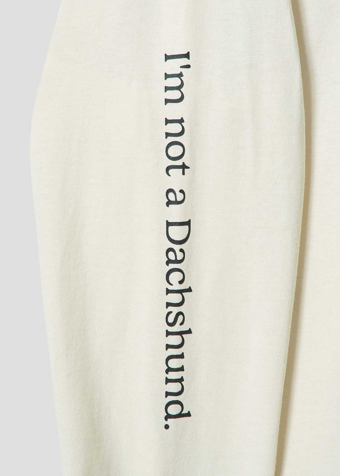Painted Nagasugiru Inu | Oversized Long-Sleeved T-Shirt - Image 4