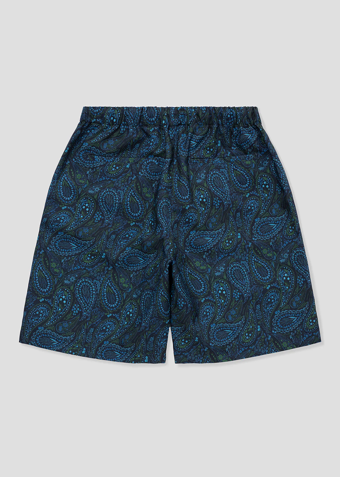 Big Silhouette Short Pants (Botanical Paisley) - Image 3