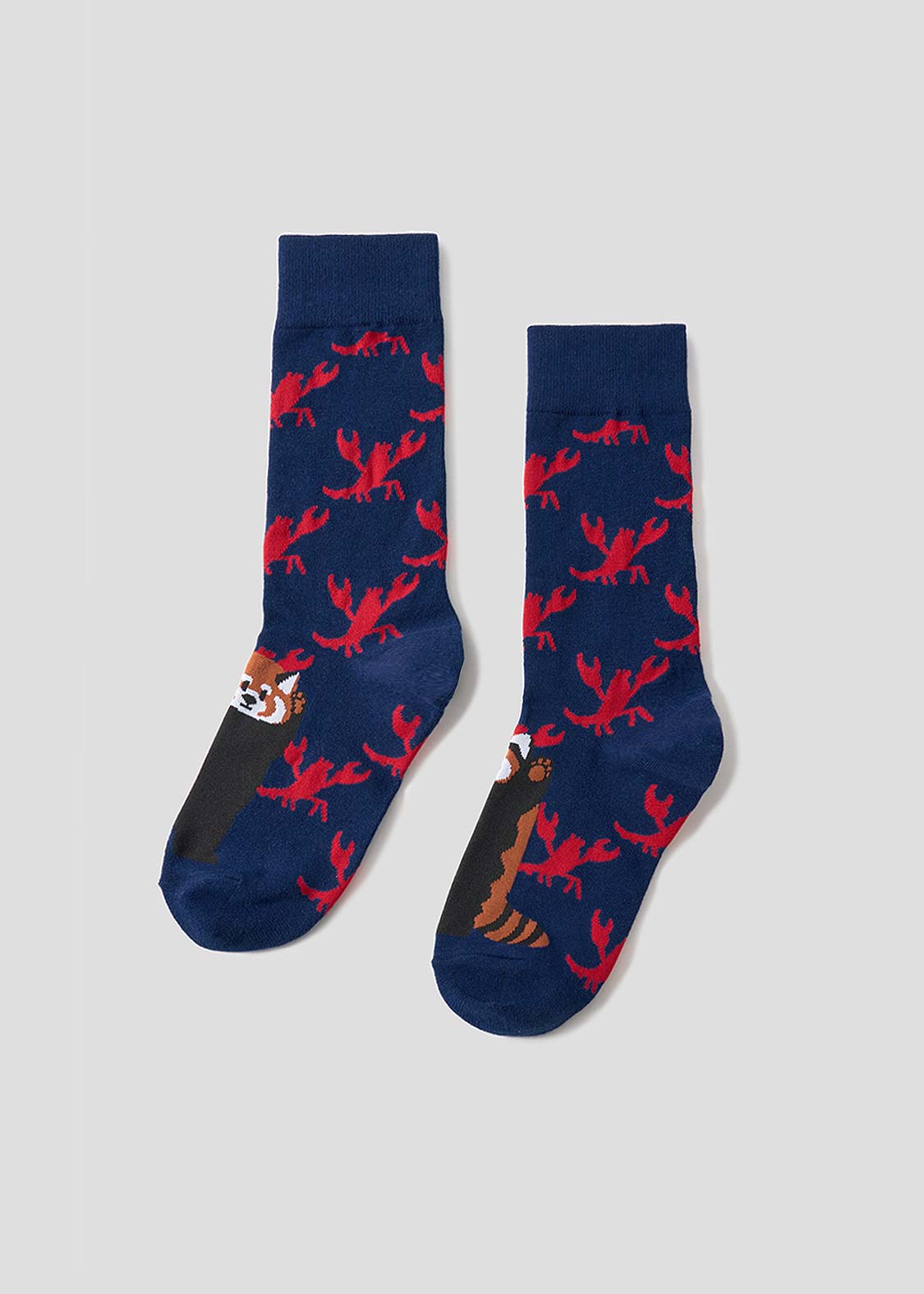 Ikaku 6 | Long Socks
