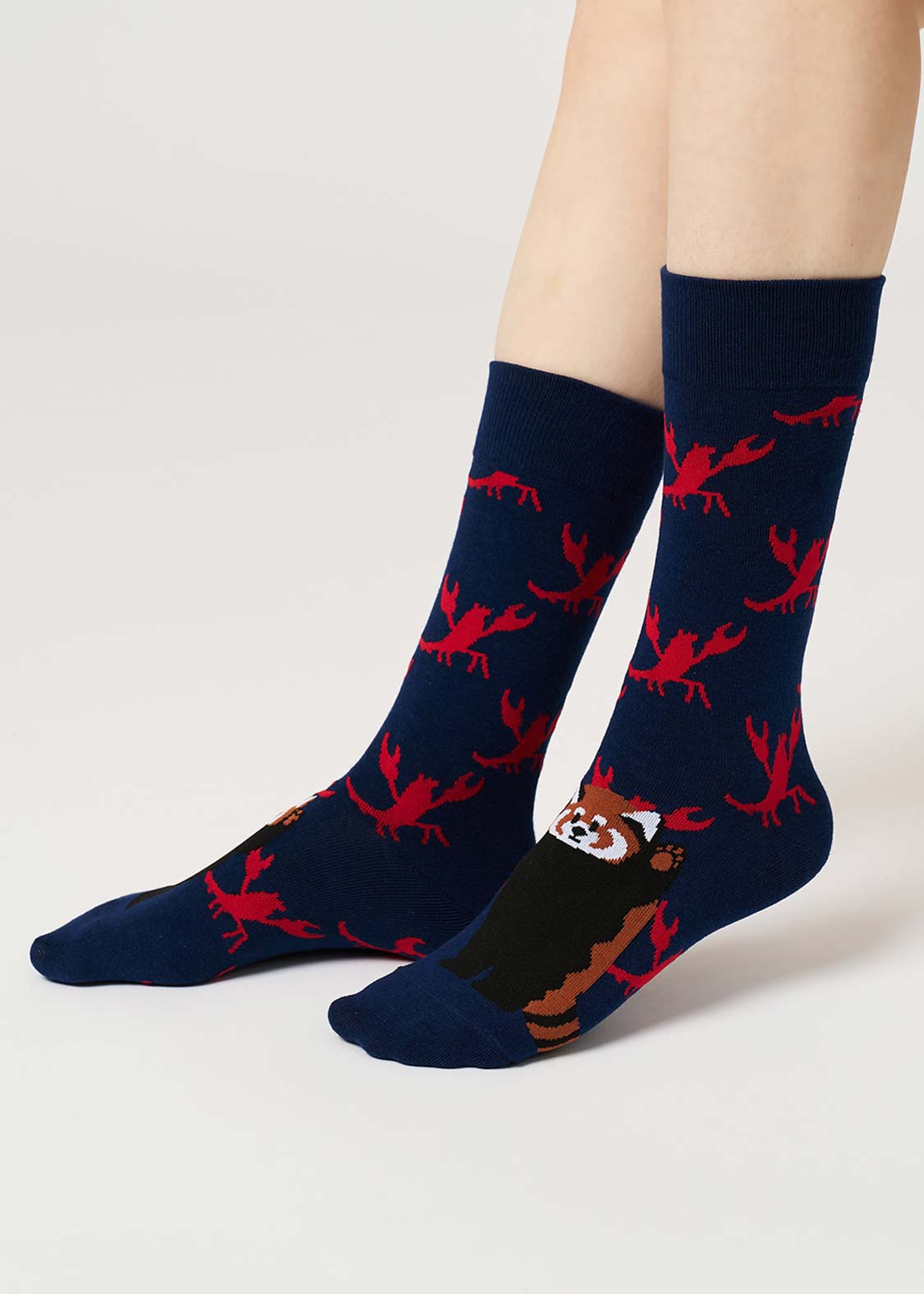 Ikaku 6 | Long Socks - Image 6