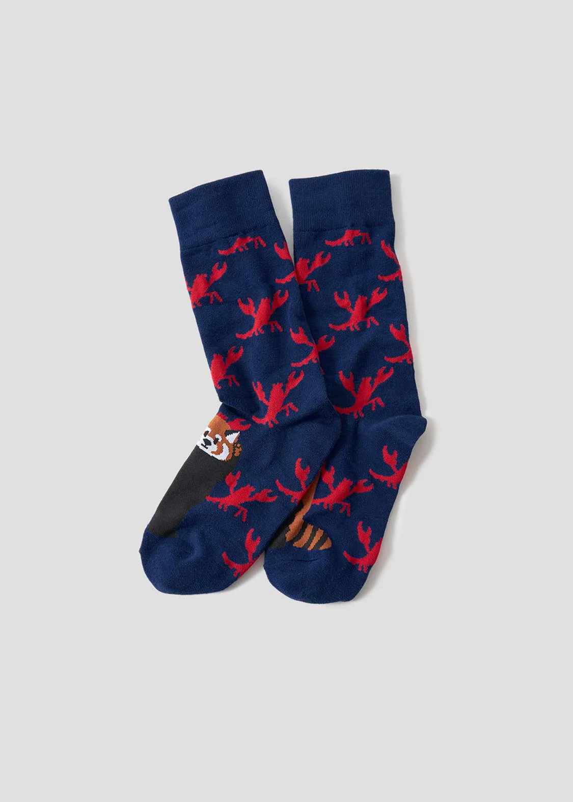 Ikaku 6 | Long Socks - Image 7