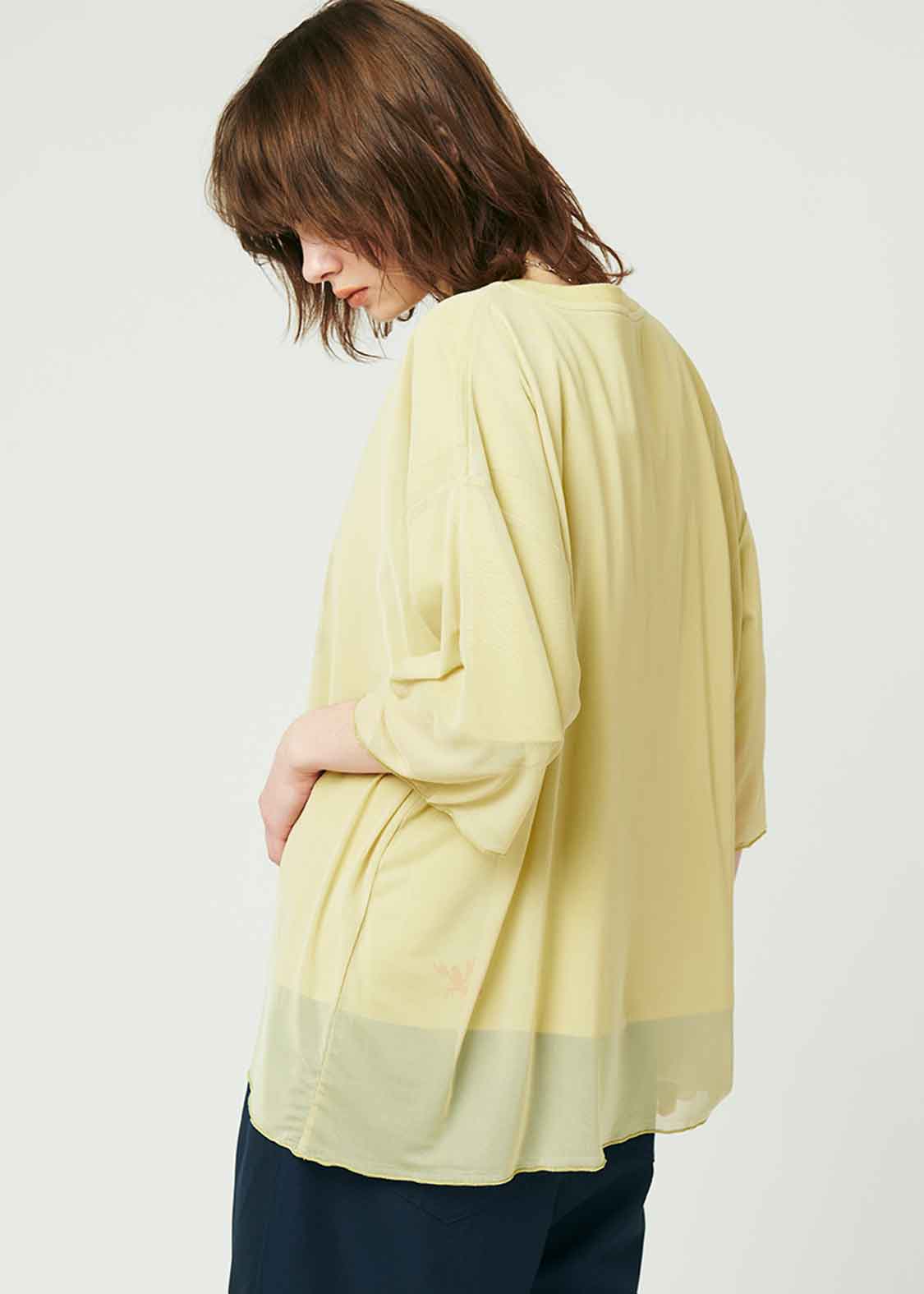 Sheer Layered Short Sleeve Tee (Ikaku a-boo) - Image 8