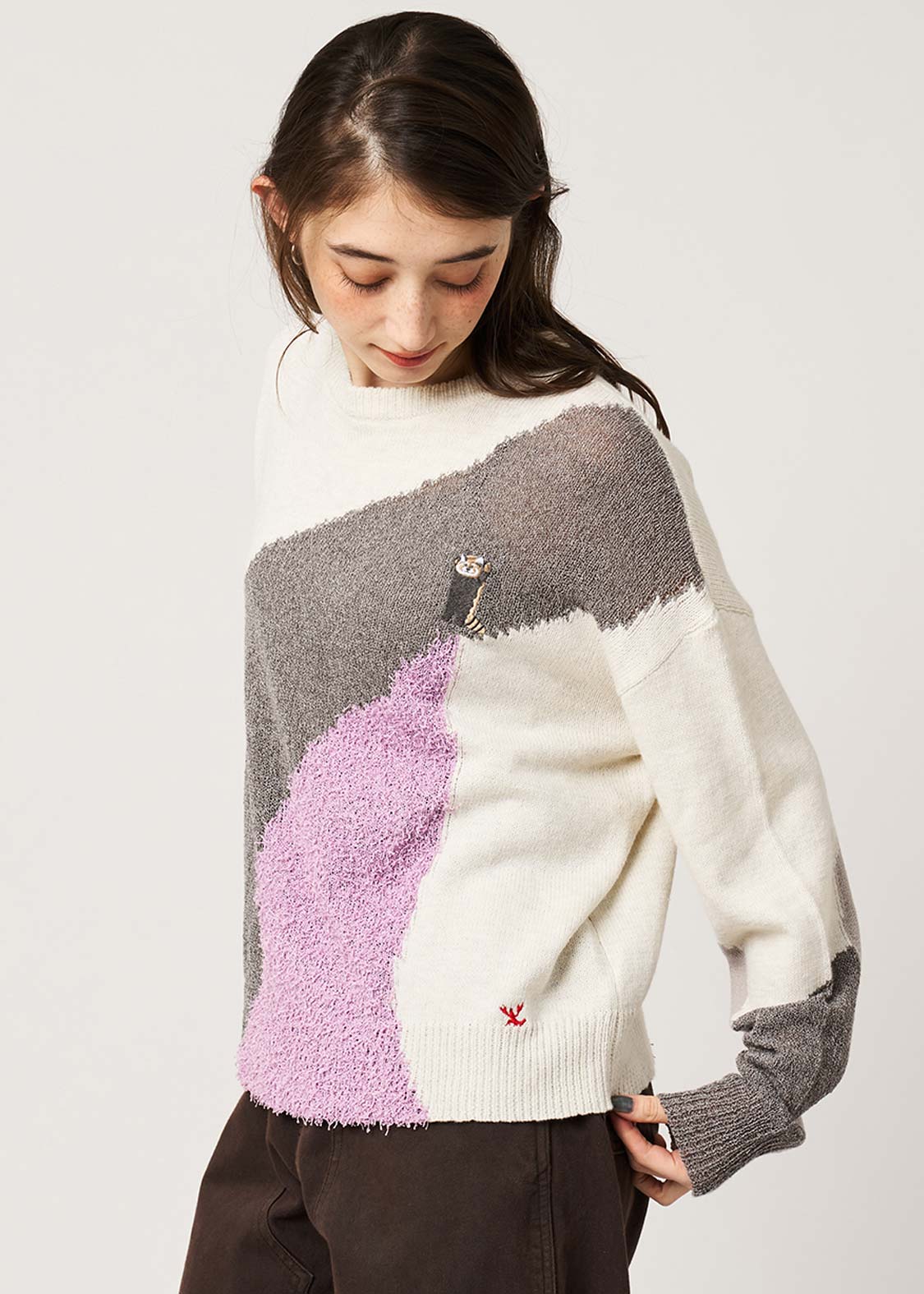 Ikaku | Switch Crew Neck Knit - Image 6