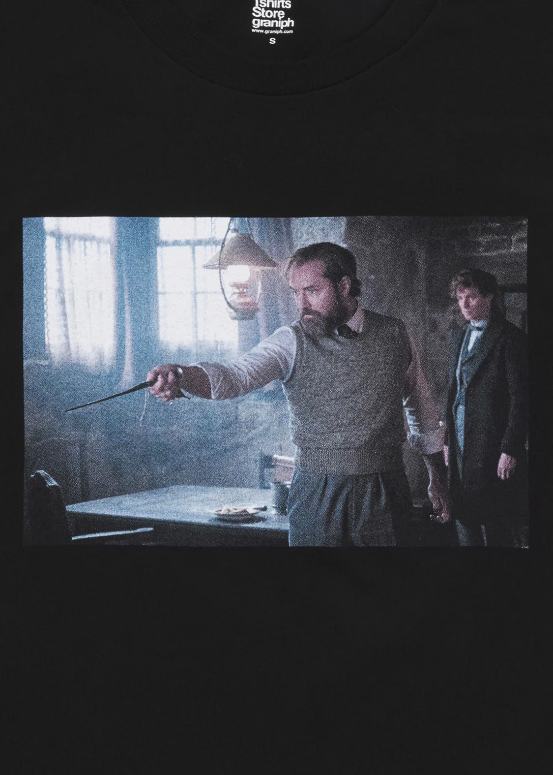 Fantastic Beasts_Dumbledore and Newt - Image 5
