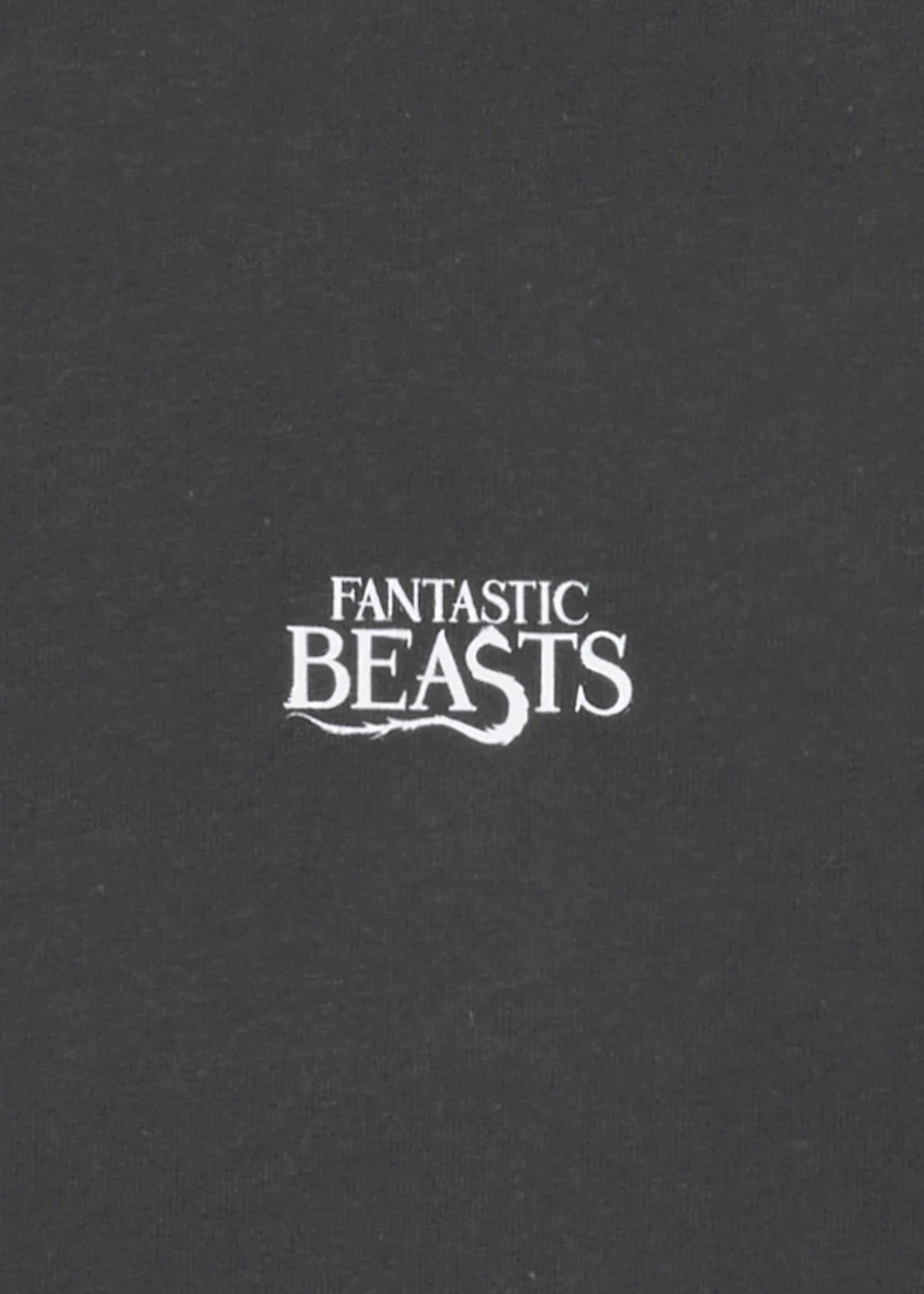 Fantastic Beasts_Obscurus - Image 6