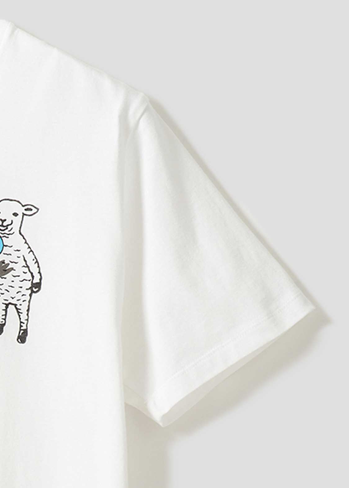 LambChop katakana - Image 6