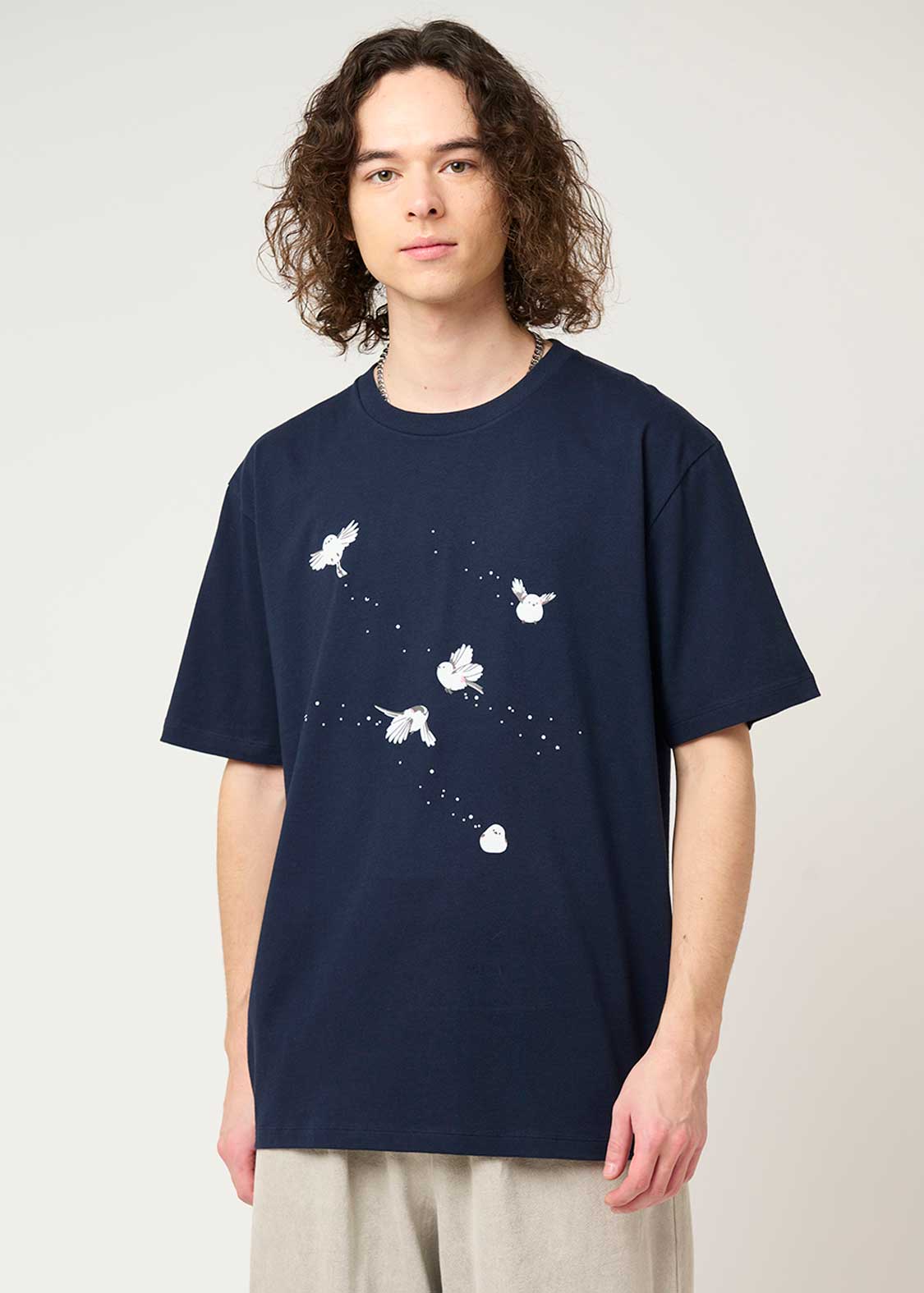 Shimaenaga Trajectory - Image 8