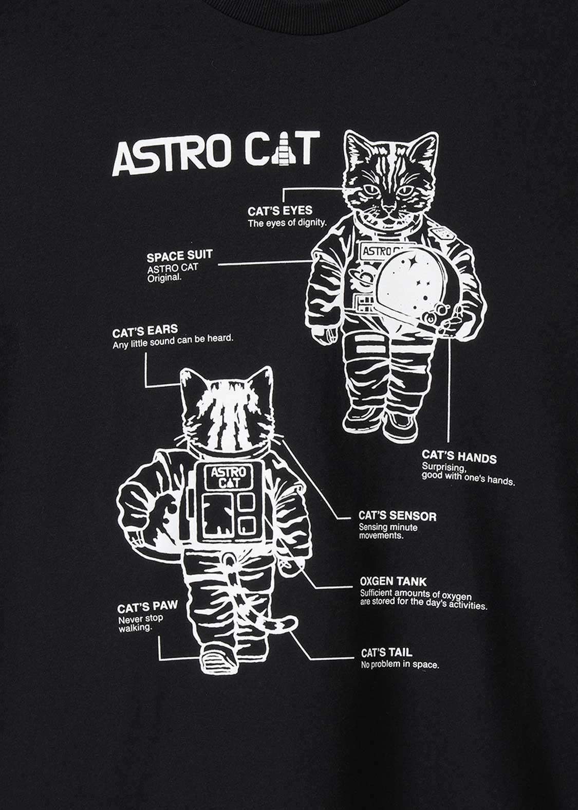 ASTRO CAT Diagram - Image 5